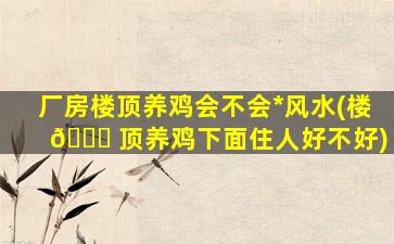 厂房楼顶养鸡会不会*
风水(楼 🐞 顶养鸡下面住人好不好)